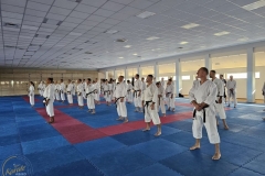 ABiRO-SemNC-03