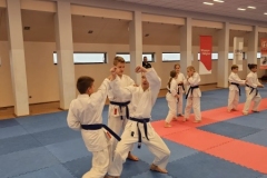 ABiRO-SemNC-18
