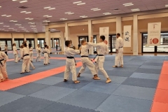 ABiRO-SemNC-22