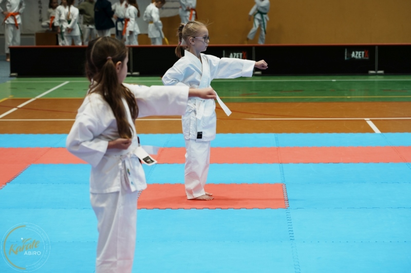ABiRO-VII-TNKT-2024-007
