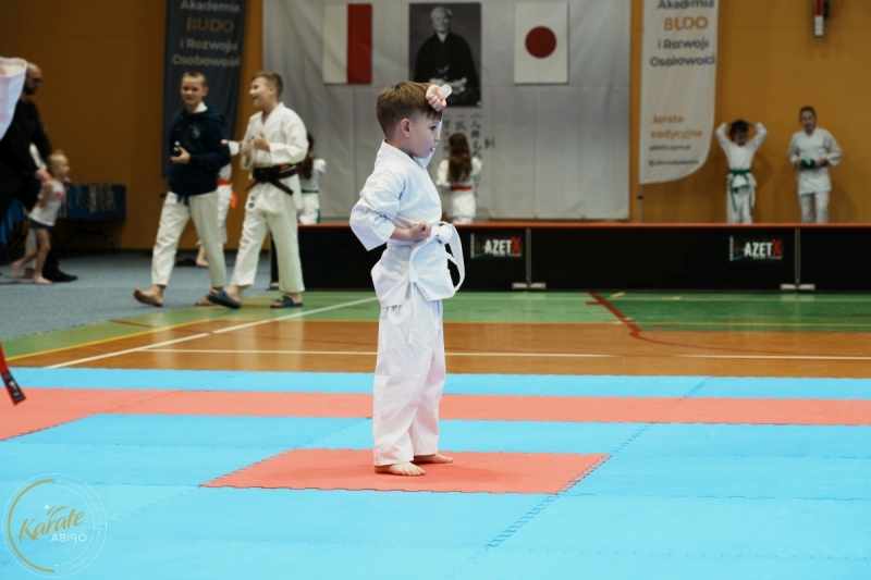ABiRO-VII-TNKT-2024-019