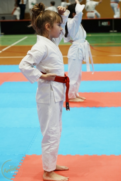 ABiRO-VII-TNKT-2024-024