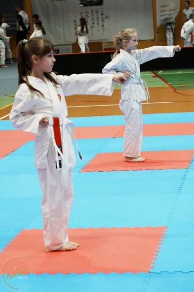 ABiRO-VII-TNKT-2024-026