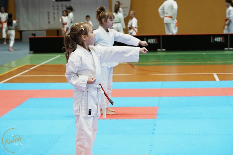 ABiRO-VII-TNKT-2024-027