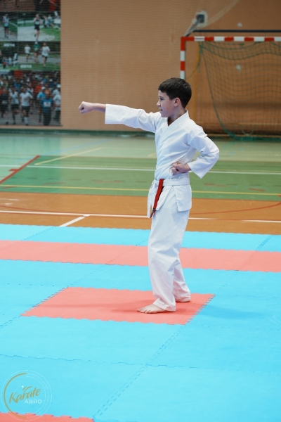 ABiRO-VII-TNKT-2024-034