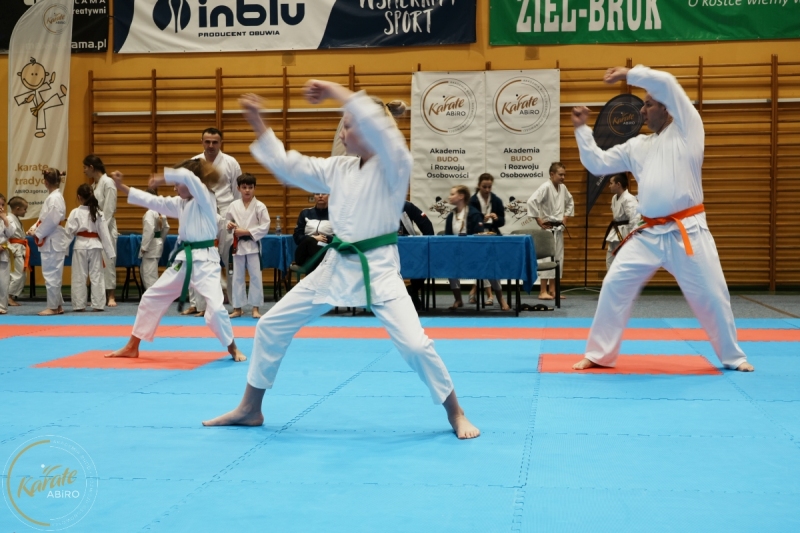 ABiRO-VII-TNKT-2024-060