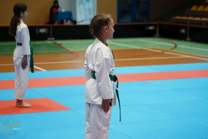 ABiRO-VII-TNKT-2024-081