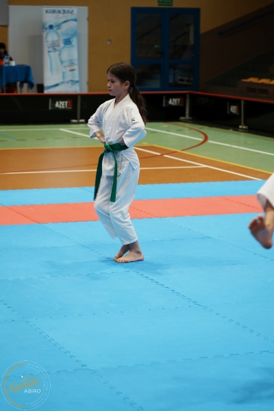 ABiRO-VII-TNKT-2024-082