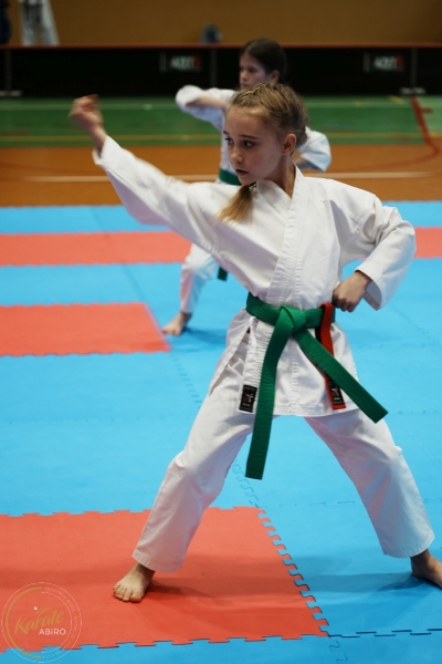 ABiRO-VII-TNKT-2024-083