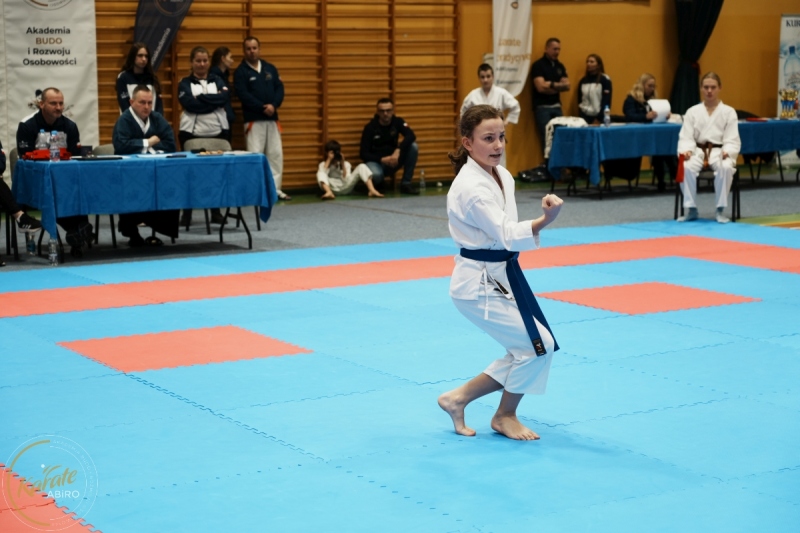ABiRO-VII-TNKT-2024-096