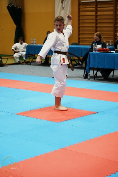 ABiRO-VII-TNKT-2024-105