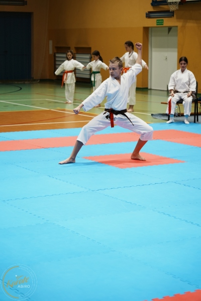 ABiRO-VII-TNKT-2024-106