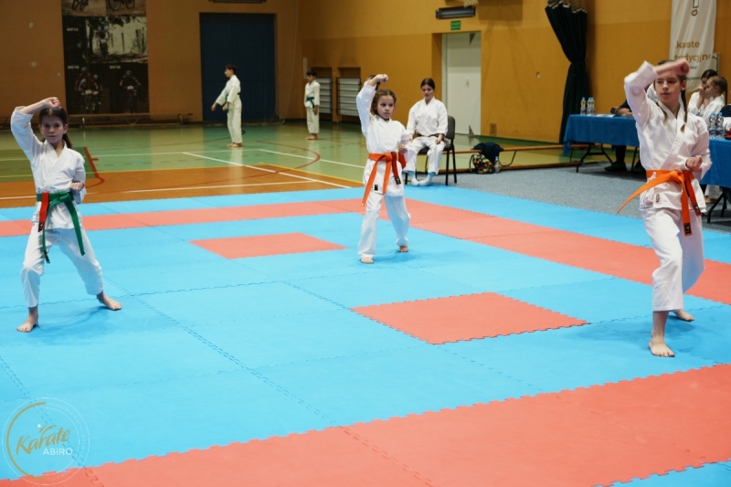 ABiRO-VII-TNKT-2024-112