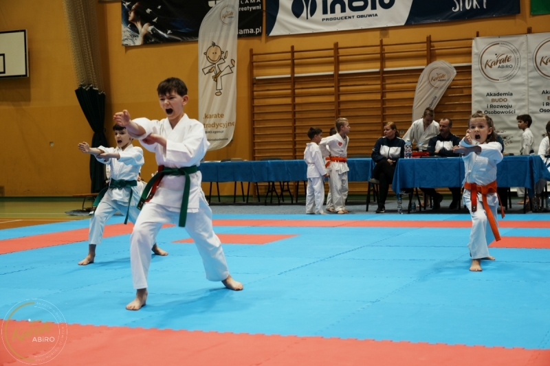 ABiRO-VII-TNKT-2024-117