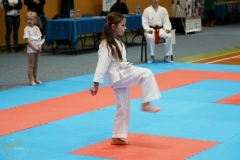 ABiRO-VII-TNKT-2024-008