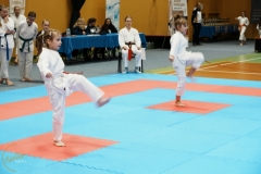 ABiRO-VII-TNKT-2024-028
