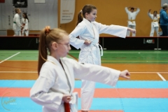 ABiRO-VII-TNKT-2024-031