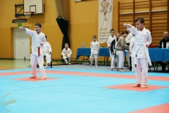 ABiRO-VII-TNKT-2024-036
