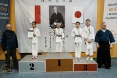ABiRO-VII-TNKT-2024-041