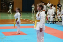 ABiRO-VII-TNKT-2024-043