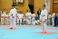 ABiRO-VII-TNKT-2024-045