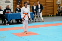 ABiRO-VII-TNKT-2024-048