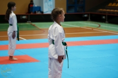 ABiRO-VII-TNKT-2024-081