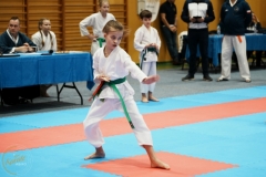 ABiRO-VII-TNKT-2024-088