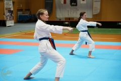 ABiRO-VII-TNKT-2024-094