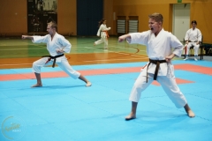 ABiRO-VII-TNKT-2024-104