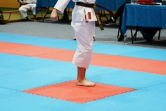 ABiRO-VII-TNKT-2024-105