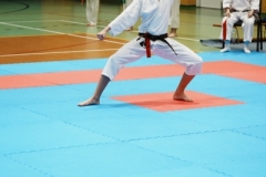ABiRO-VII-TNKT-2024-106