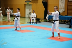 ABiRO-VII-TNKT-2024-110