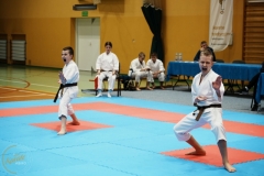 ABiRO-VII-TNKT-2024-111