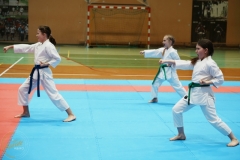 ABiRO-VII-TNKT-2024-113