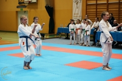 ABiRO-VII-TNKT-2024-115
