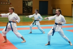 ABiRO-VII-TNKT-2024-116