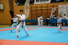 ABiRO-VII-TNKT-2024-117