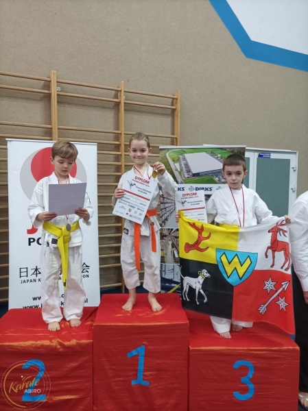 ABiRO-01-JKA-2024-01