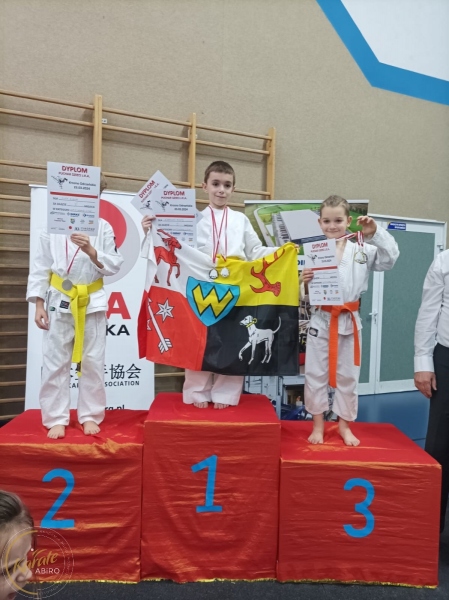 ABiRO-01-JKA-2024-11