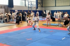 ABiRO-02-TKG-2024-17