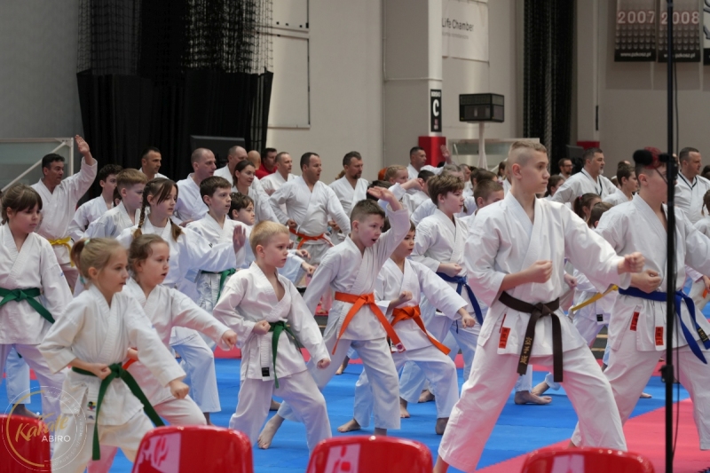 ABiRO-WraCUP-2024-001