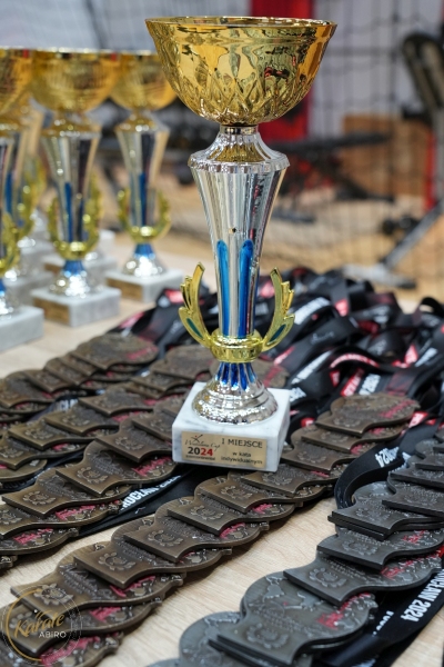 ABiRO-WraCUP-2024-002