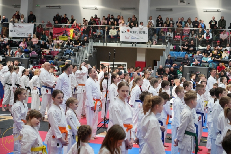 ABiRO-WraCUP-2024-005