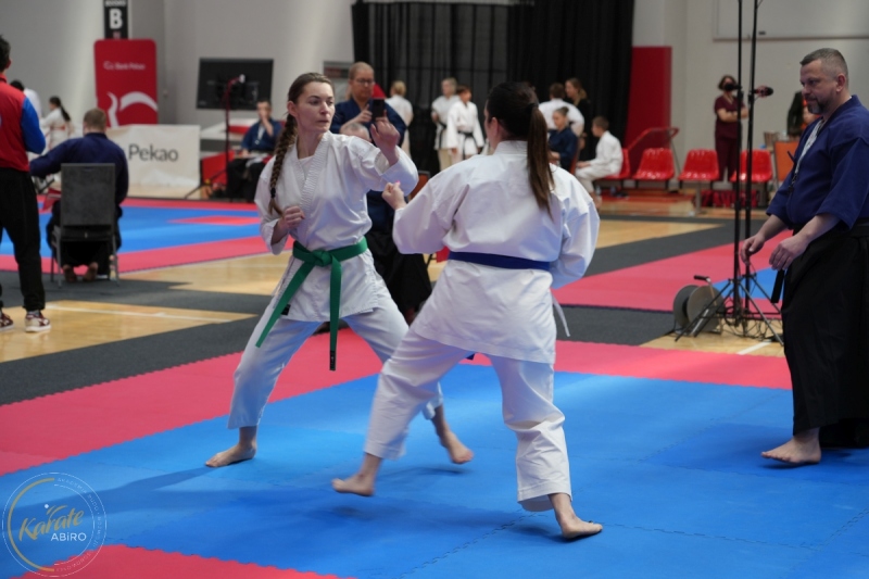 ABiRO-WraCUP-2024-006