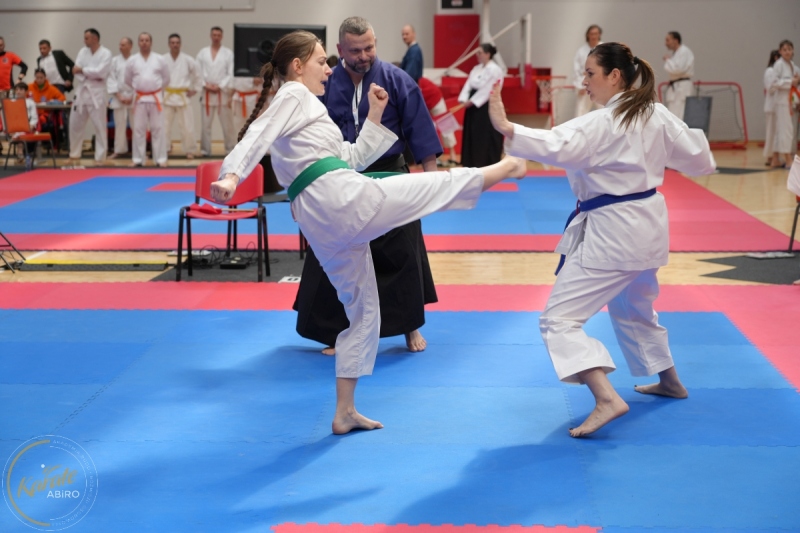 ABiRO-WraCUP-2024-008