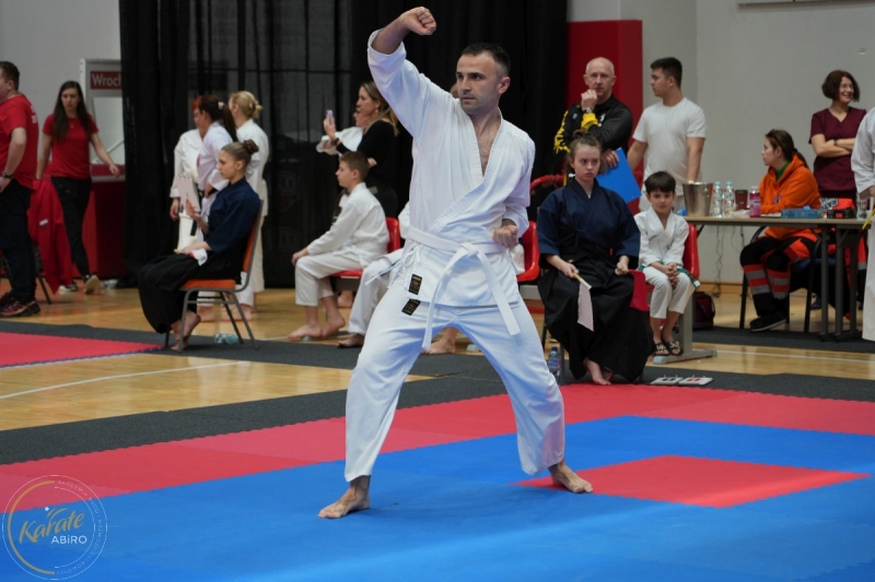 ABiRO-WraCUP-2024-009