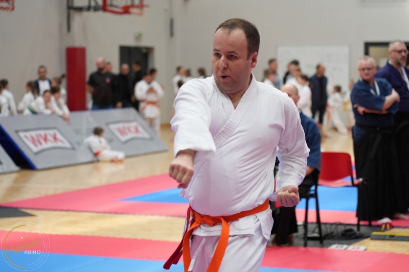 ABiRO-WraCUP-2024-011