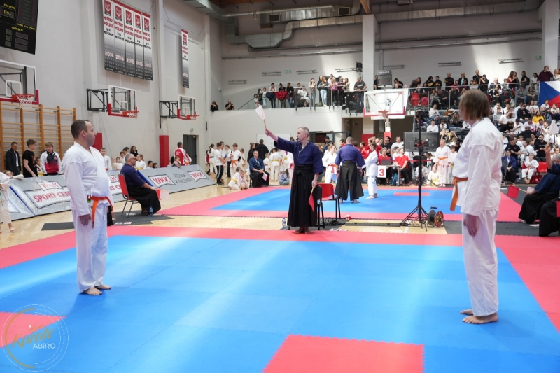 ABiRO-WraCUP-2024-016