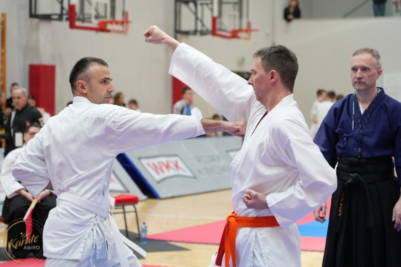 ABiRO-WraCUP-2024-017